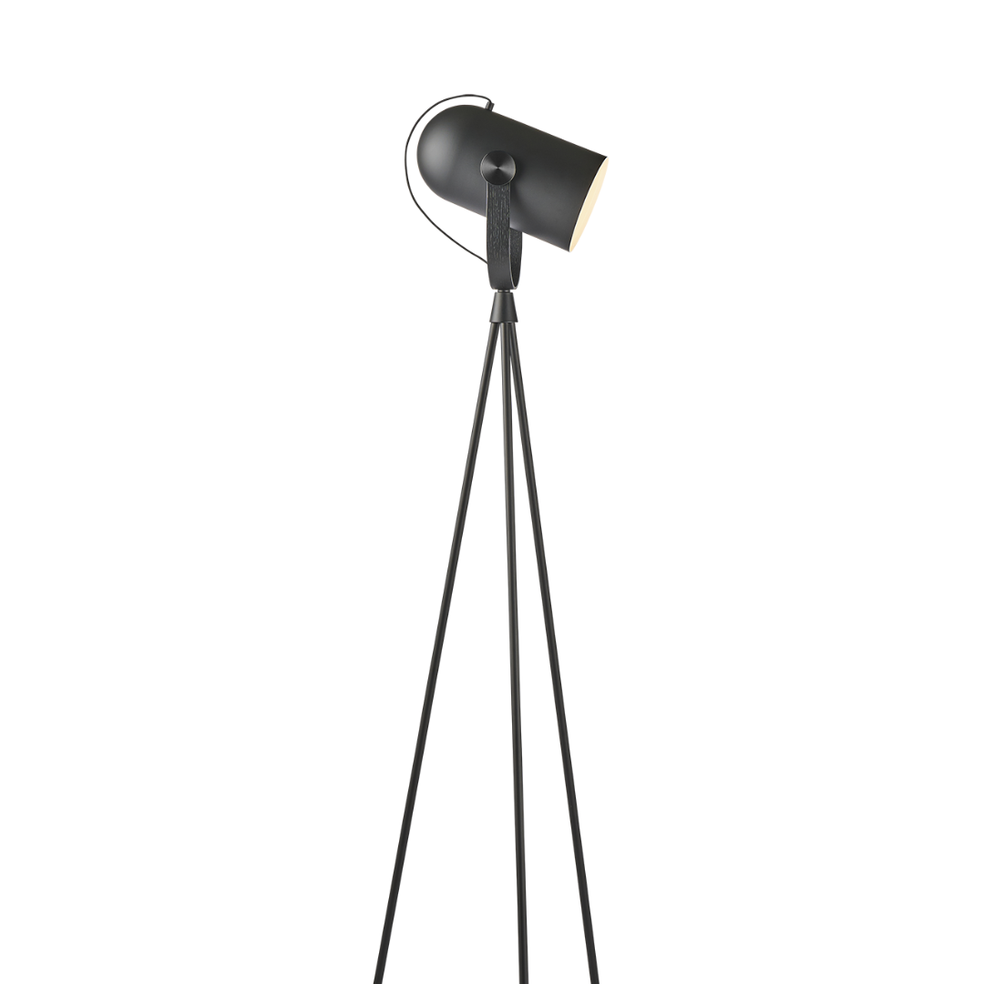 Carronade II Floor Lamp
